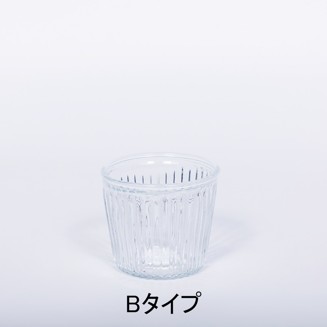 【鉢が選べる】レトロベース120 炭植え【コルジリネ】