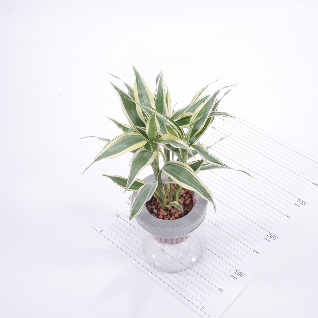 NEOモルタルシリンダー【サンデリアーナ　ホワイト】