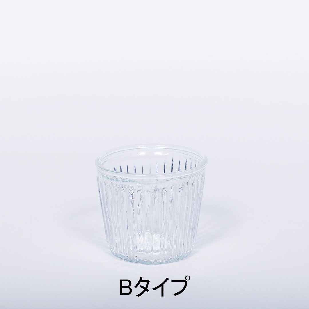 【鉢が選べる】レトロベース120　炭植え【ペペロミア プテオラタ】