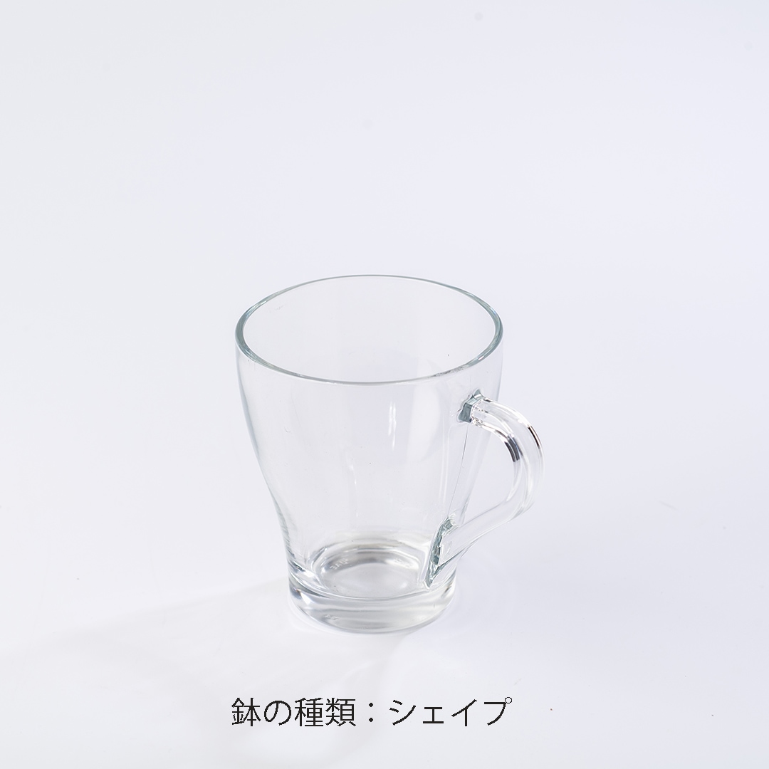 【鉢が選べる・用土の色が選べる・品種リクエスト】グラスマグ ピュアライト植え