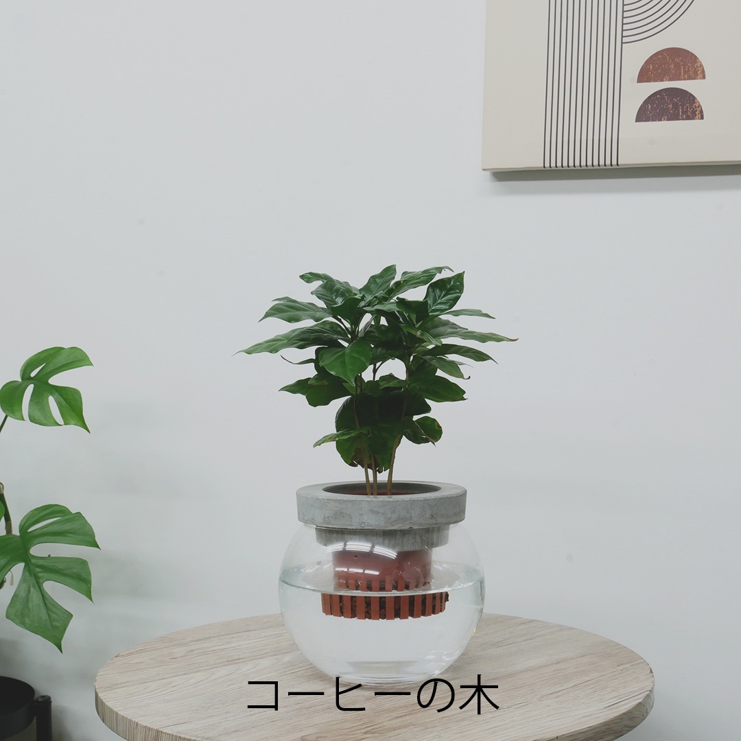 【選べるグリーン】NEOモルタルバルン