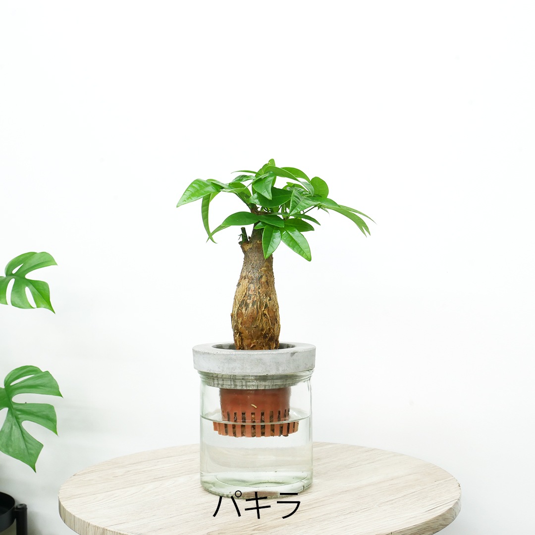 【選べるグリーン】NEOモルタルシリンダー