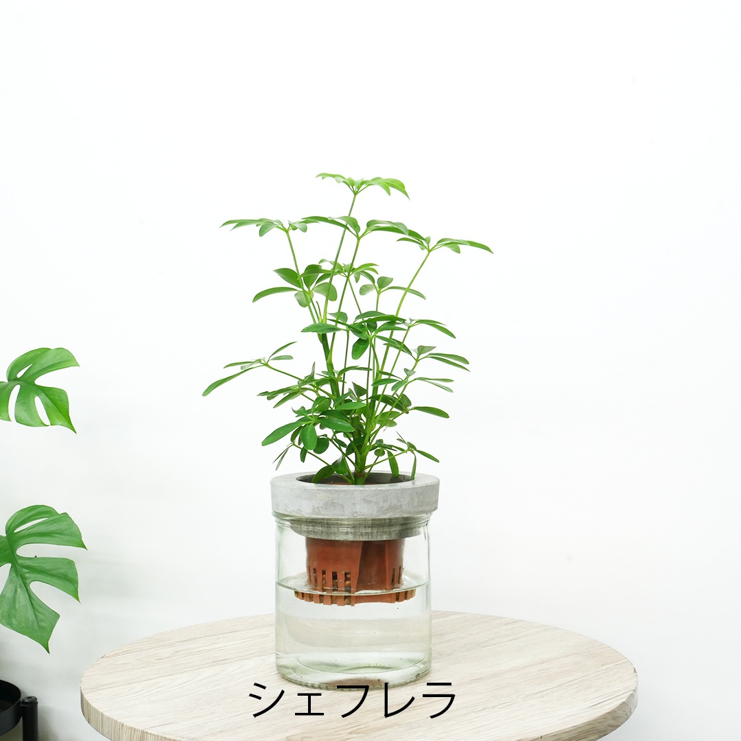 【選べるグリーン】NEOモルタルシリンダー