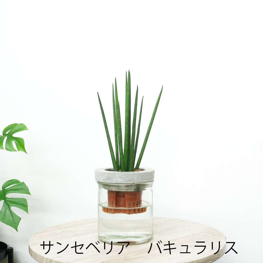 【選べるグリーン】NEOモルタルシリンダー