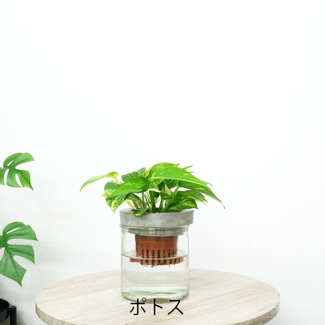 【選べるグリーン】NEOモルタルシリンダー