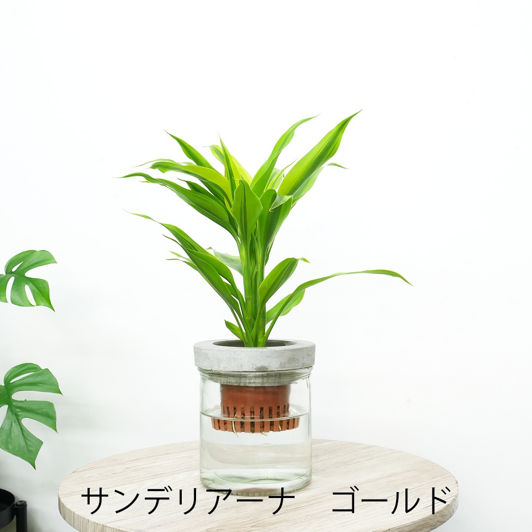 【選べるグリーン】NEOモルタルシリンダー