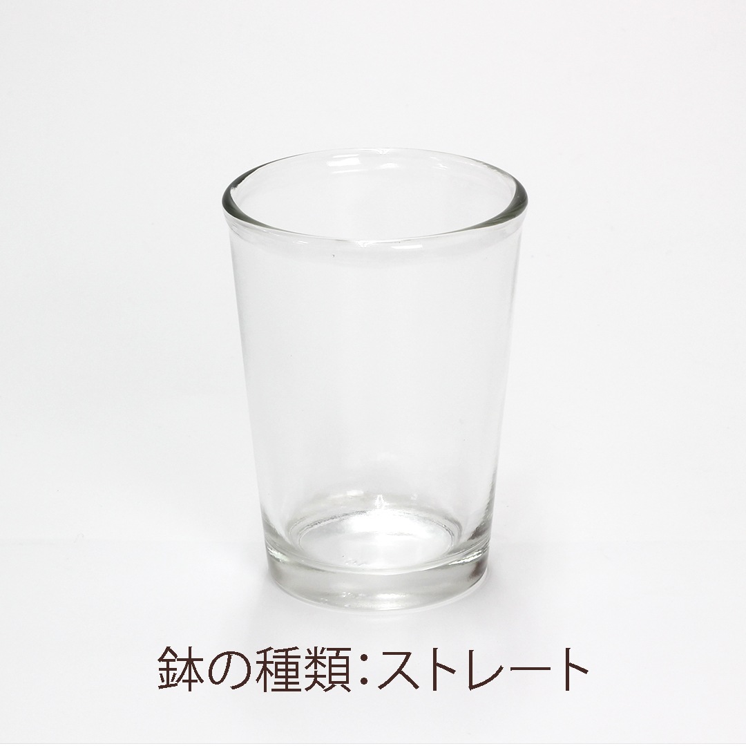 【鉢が選べる・色が選べる】プチドルチェ ピュアライト植え 【ペペロミア プテオラタ】