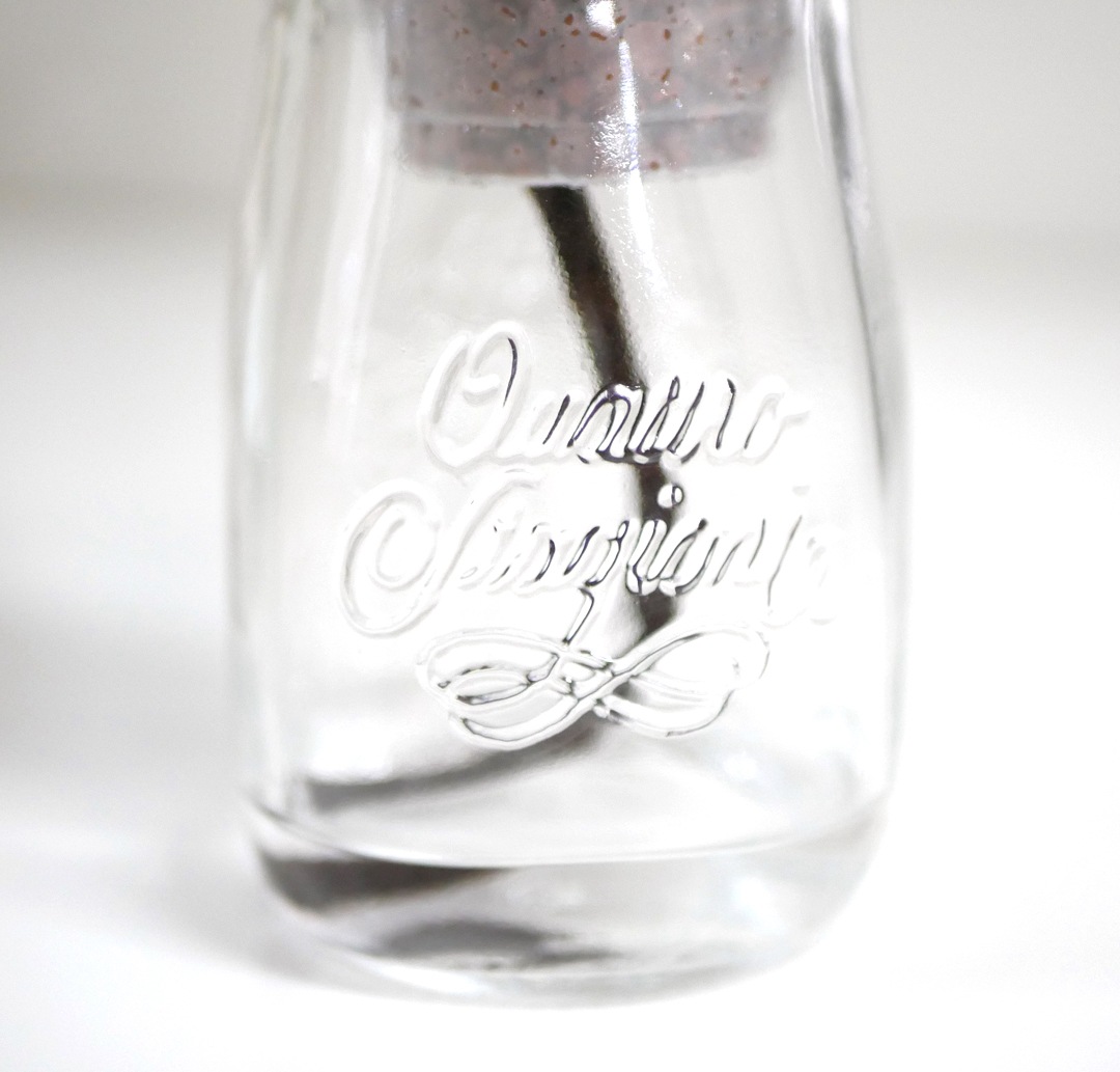 【廃番】ウォータリウム　ロコ　ハイドロコーン植え【サンセベリア バキュラリス】