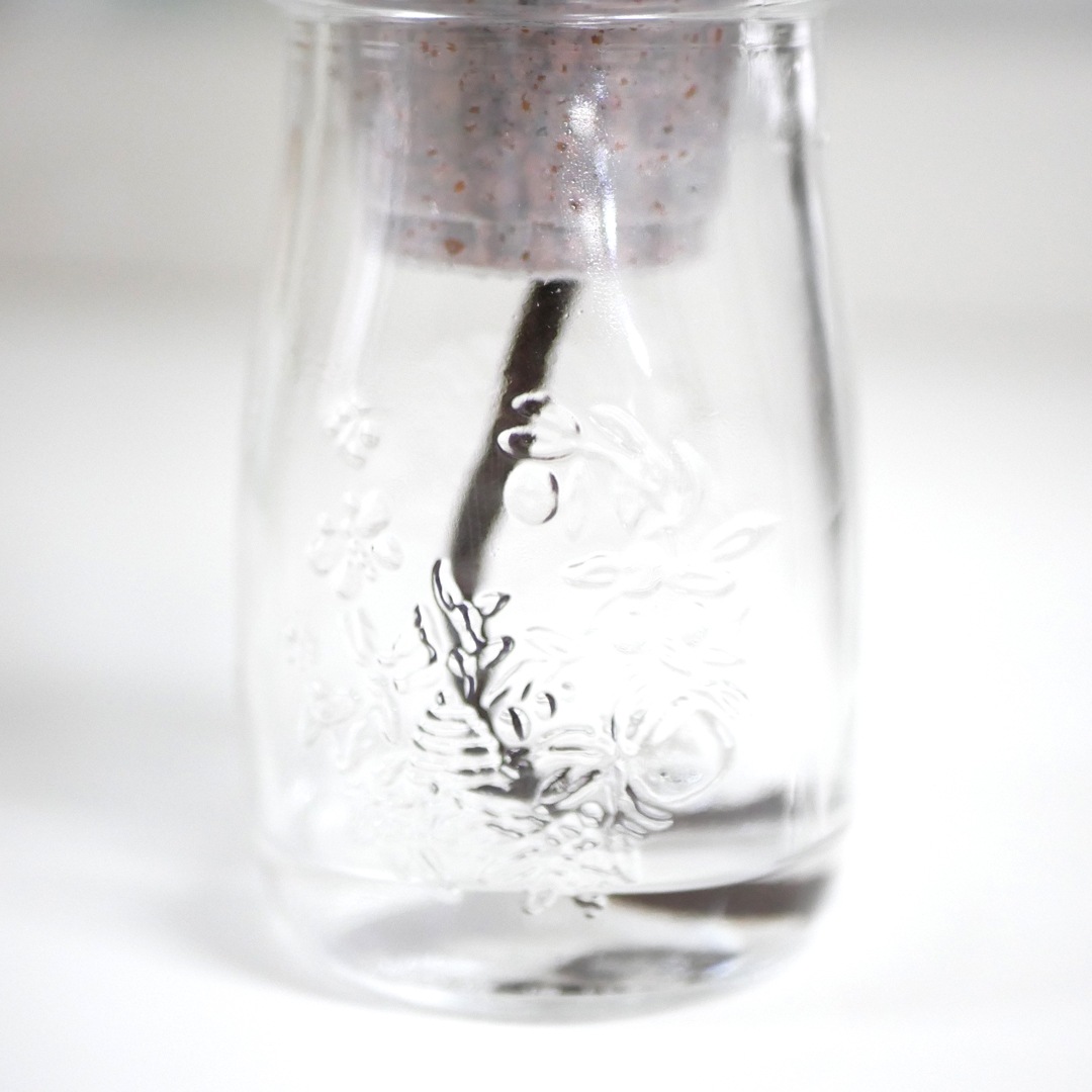 【廃番】ウォータリウム　ロコ　ハイドロコーン植え【サンセベリア バキュラリス】