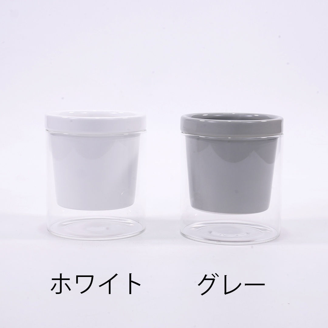 【色が選べる】NEOルーツ80【サンセベリア　バキュラリス】