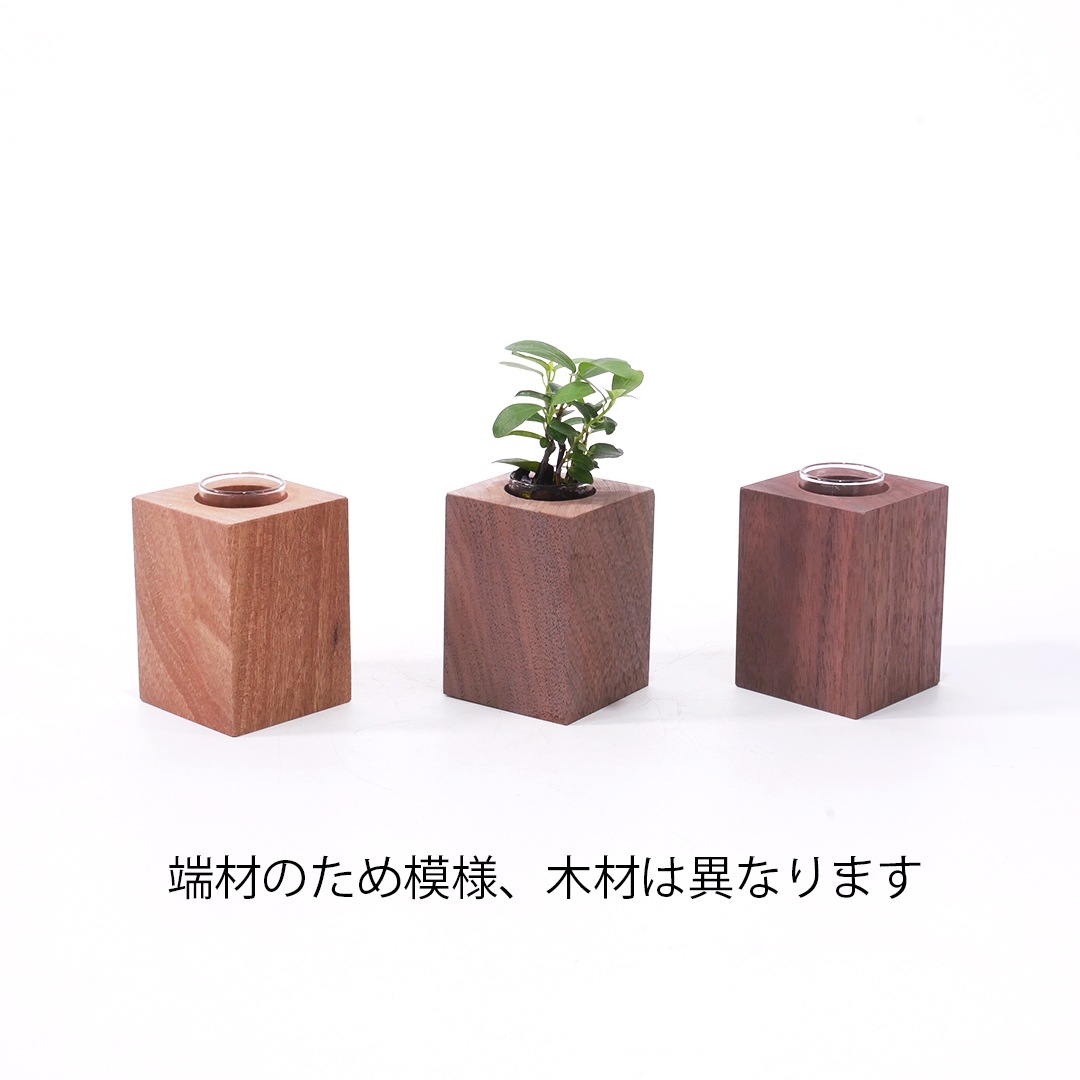 オアシスもくめの鉢　かく【ブラウン】