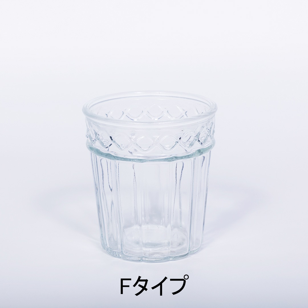 【鉢が選べる】レトロベース140　ハイドロコーン植え　【シェフレラ】