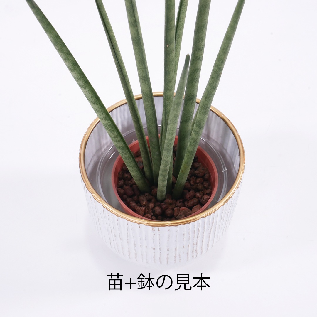 ハイミニアールメタルの鉢【グレーホワイト】