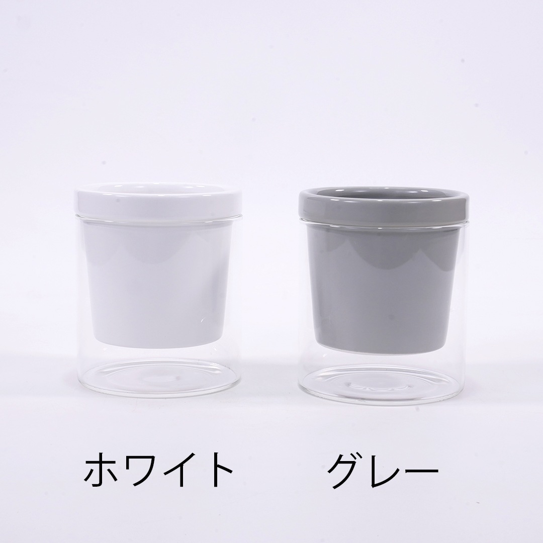 【色が選べる】NEOルーツ80【ペペロミア　プテオラタ】