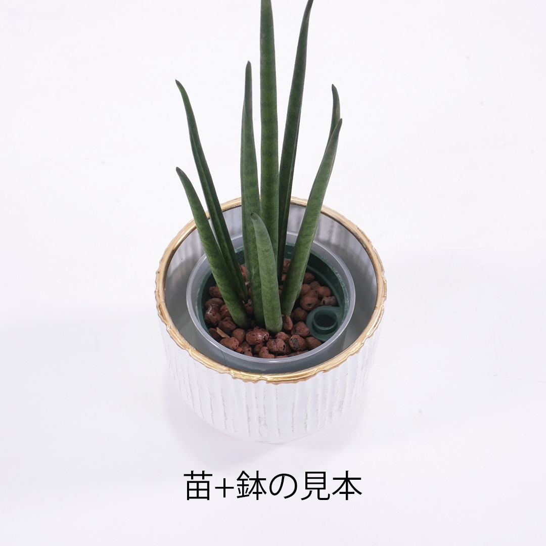 キュートアールメタルの鉢【ホワイト】