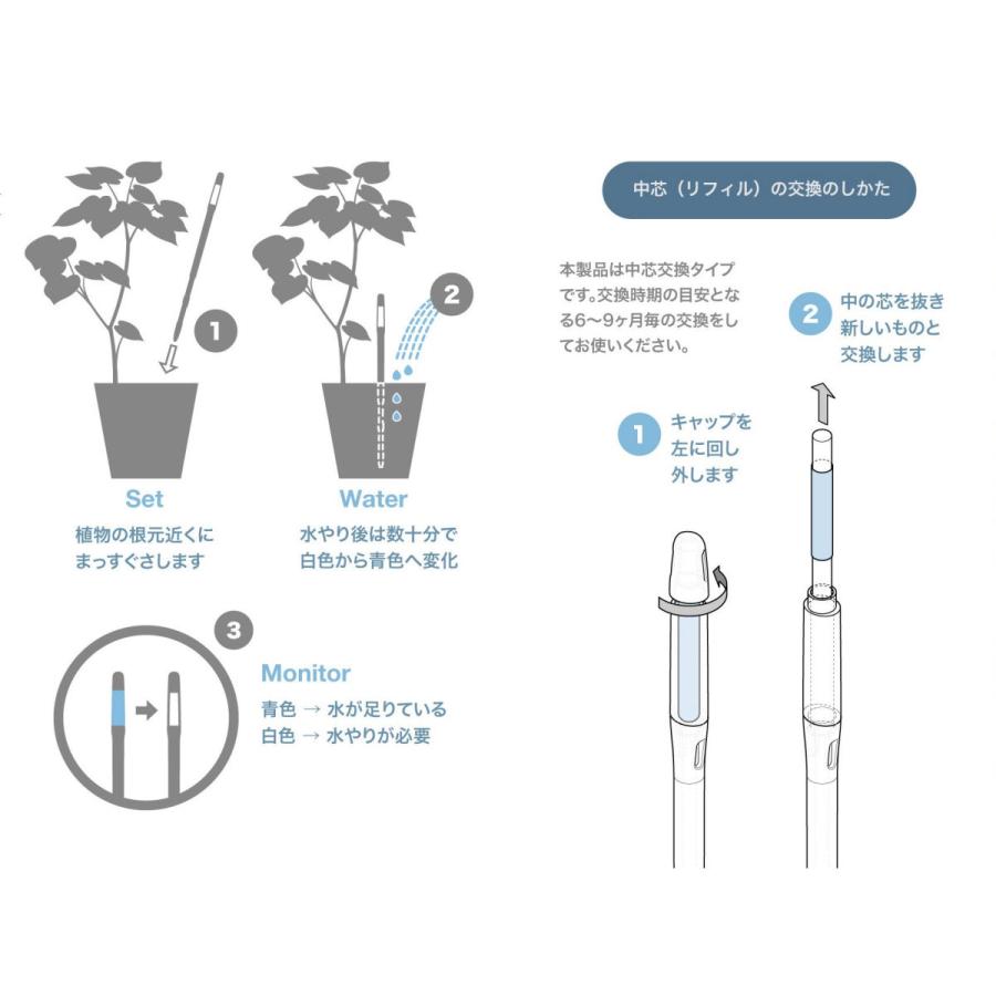 【色が選べる】バルンボール100　カラーサンド植え【パキラ】水やりチェッカーサスティー付き