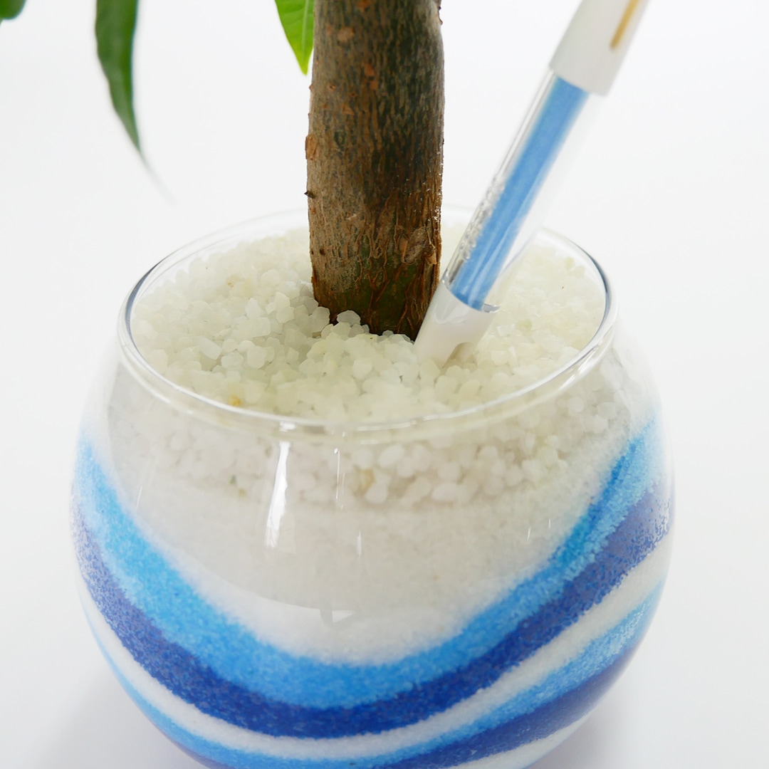 【色が選べる】バルンボール100 カラーサンド植え【サンセベリア】水やりチェッカーサスティー付き