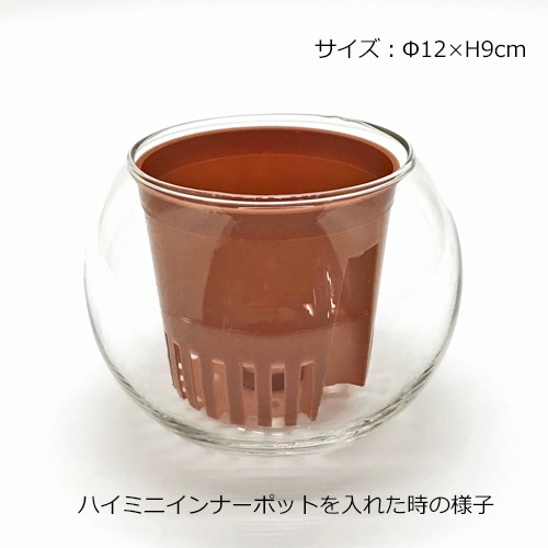 バルンボール120の鉢
