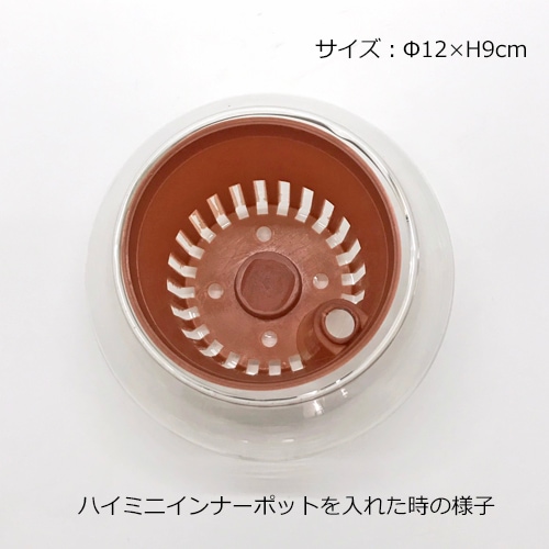 バルンボール120の鉢