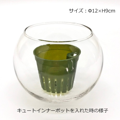 バルンボール120の鉢