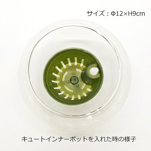 バルンボール120の鉢