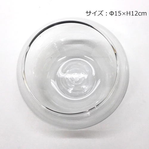 バルンボール150の鉢