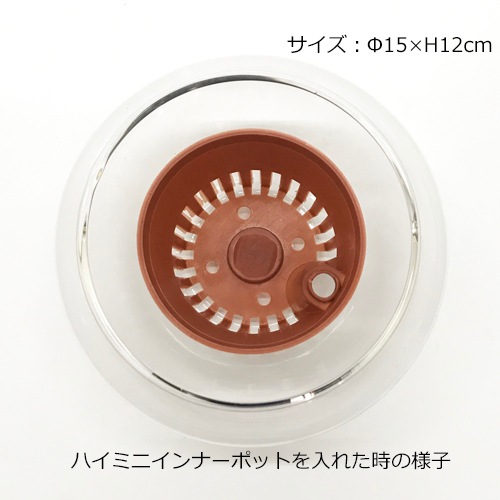 バルンボール150の鉢