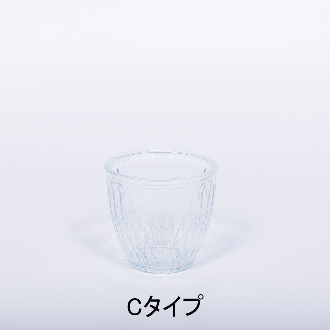 【鉢が選べる】レトロベース120　エコスギ植え【サンデリアーナ】