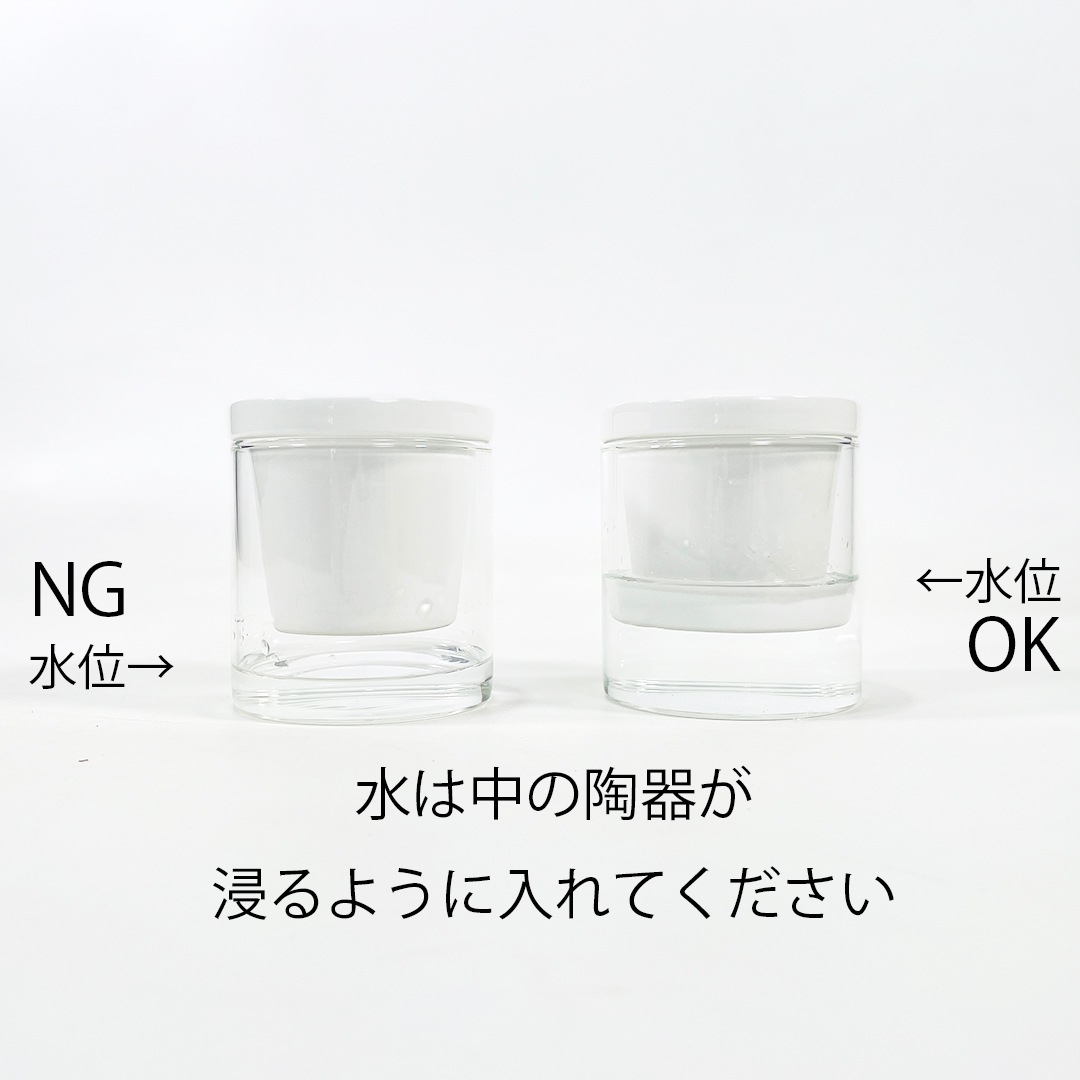 NEOルーツ100の鉢（陶器とガラスのセット）