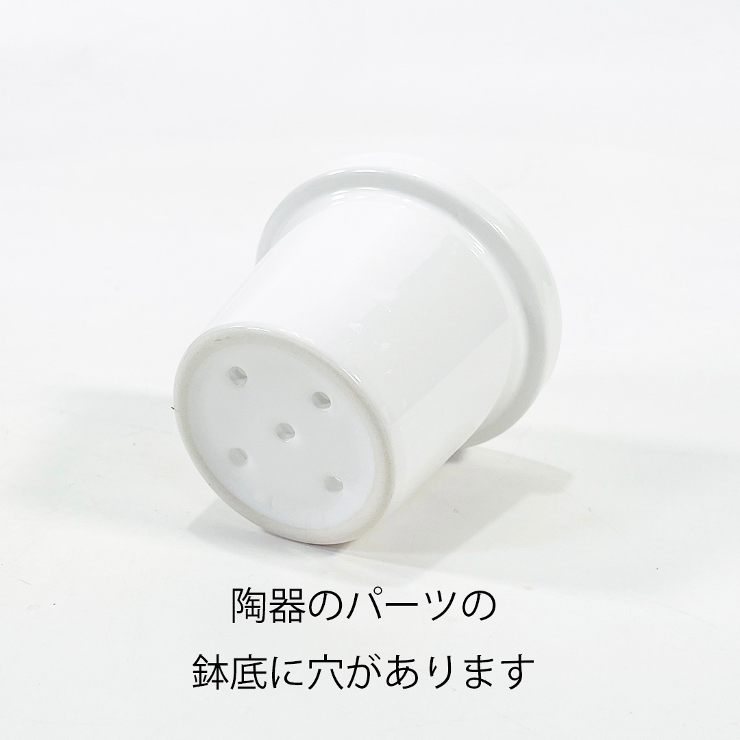 NEOルーツ100の鉢（陶器とガラスのセット）