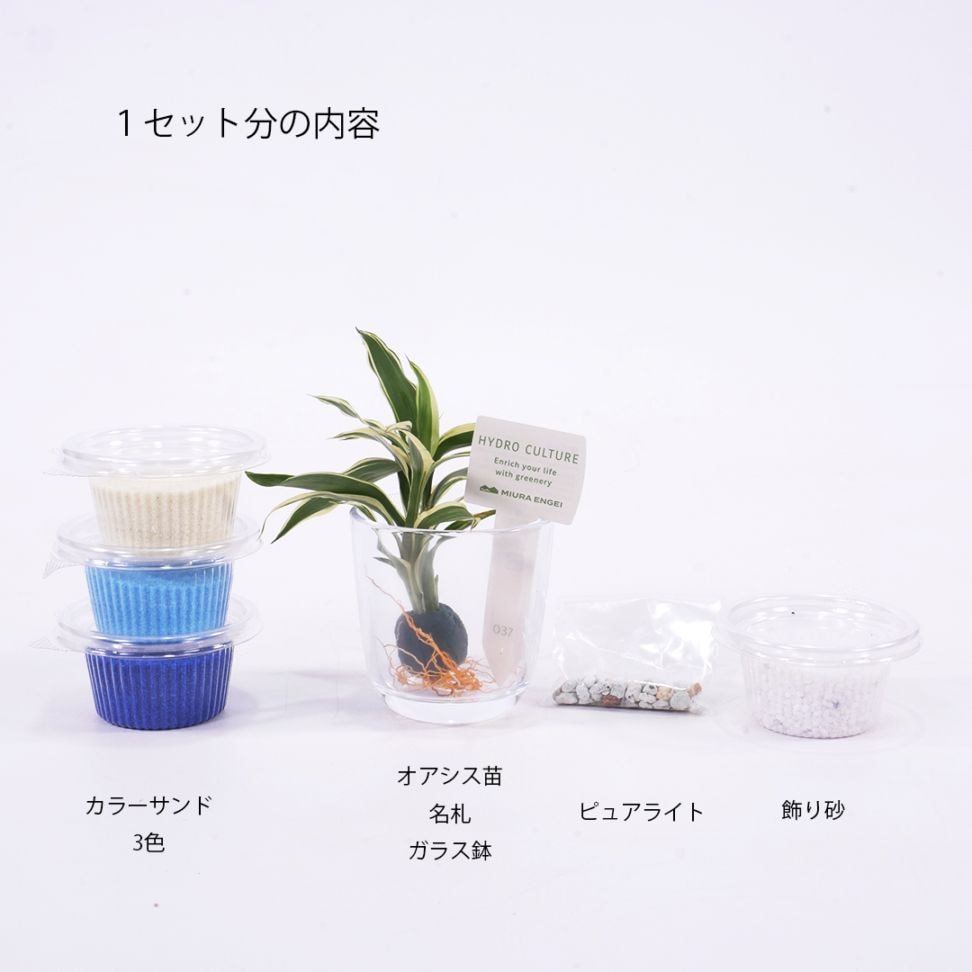 1人分のセット内容<br>
ピュアライト（ゼオライト）は根腐れ防止剤です。