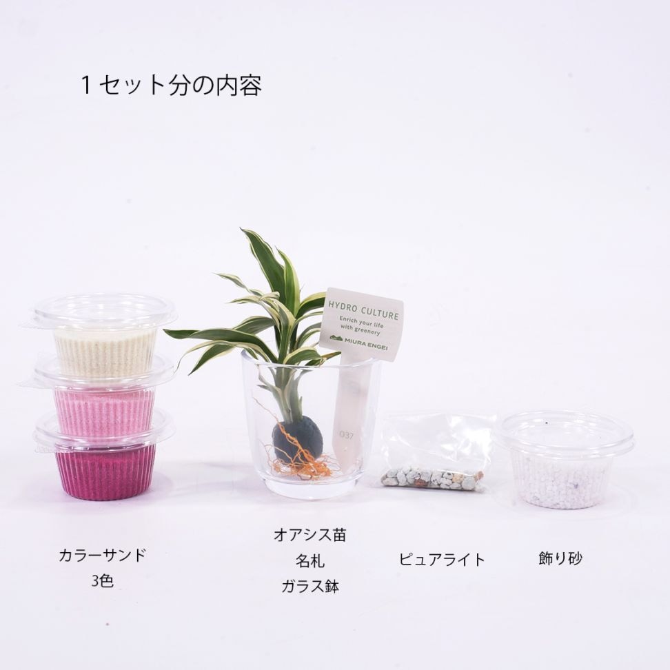 1人分のセット内容<br>
ピュアライト（ゼオライト）は根腐れ防止剤です。