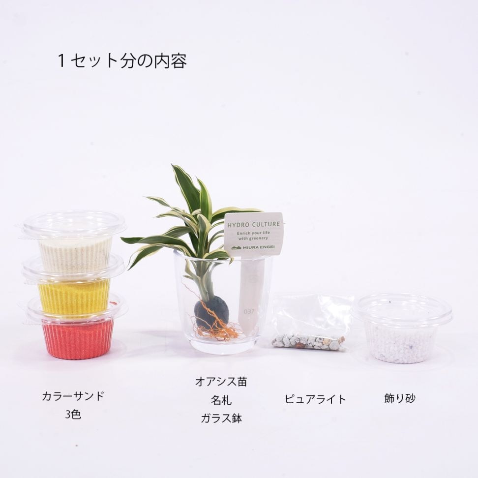 1人分のセット内容<br>
ピュアライト（ゼオライト）は根腐れ防止剤です。