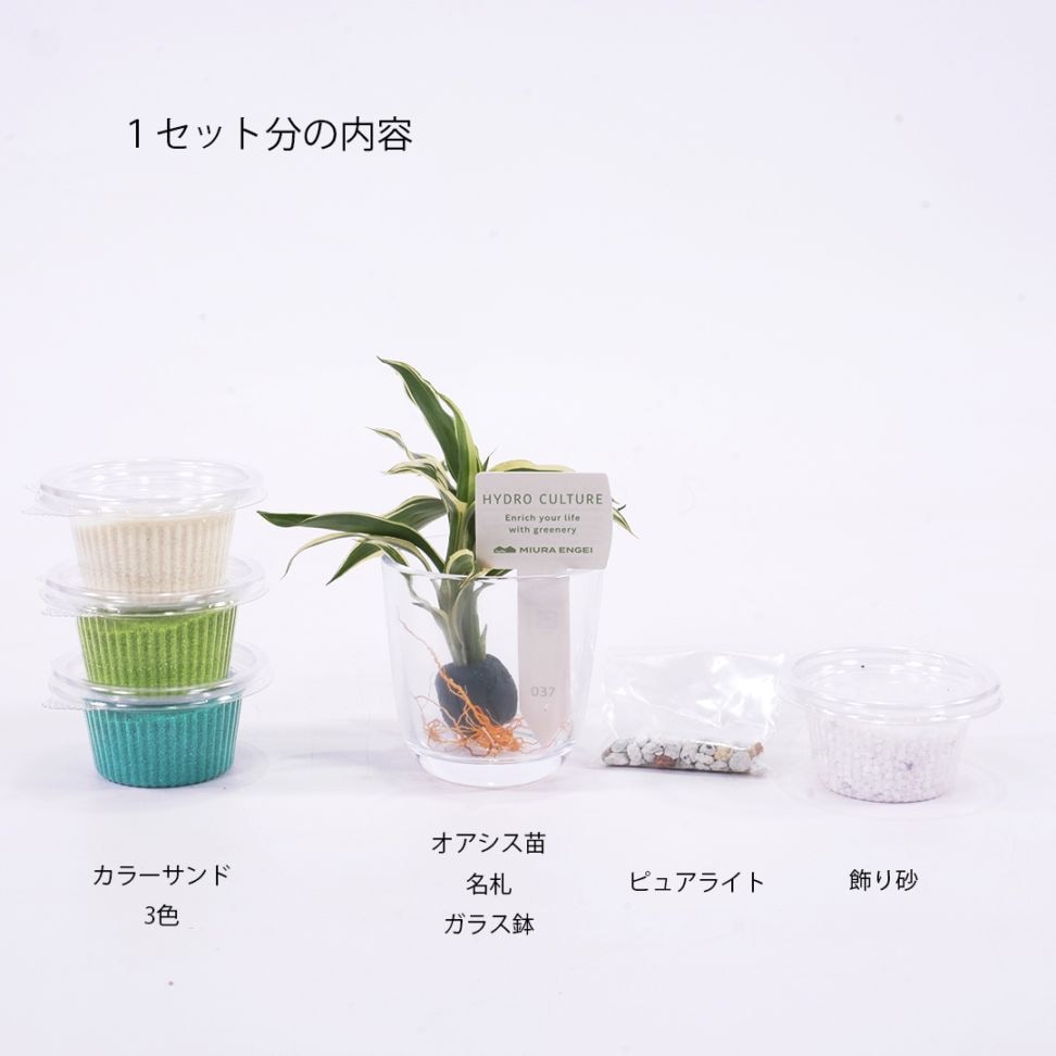 1人分のセット内容<br>
ピュアライト（ゼオライト）は根腐れ防止剤です。