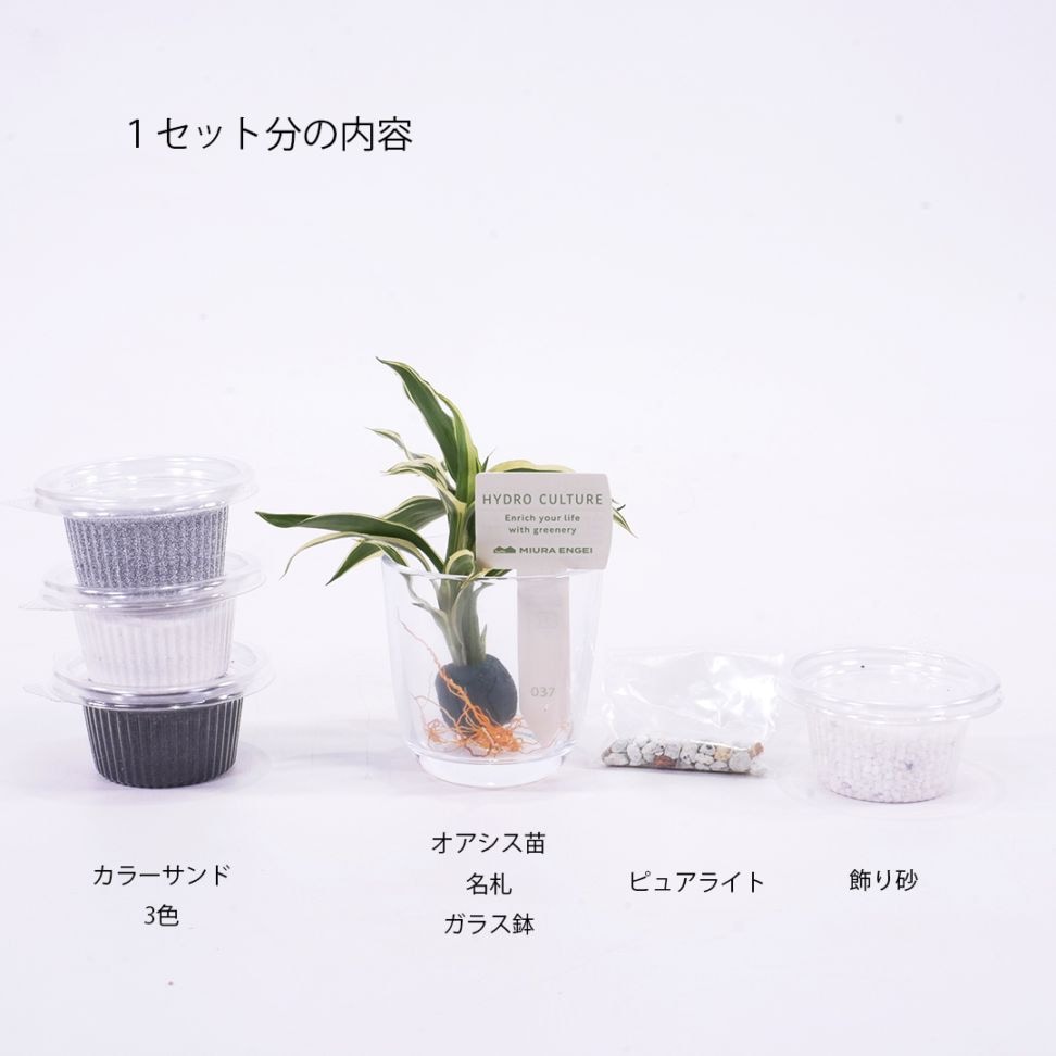 1人分のセット内容<br>
ピュアライト（ゼオライト）は根腐れ防止剤です。