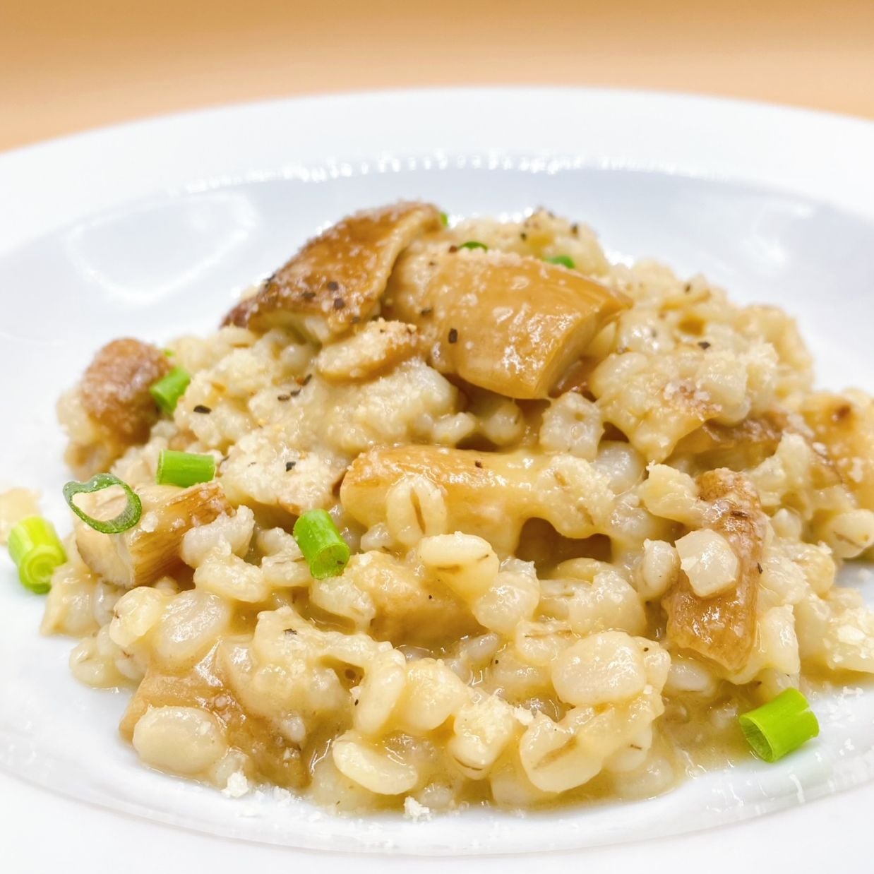 大麦のリゾット「オルツォット」ポルチーニ茸ソース和え（季節限定商品）