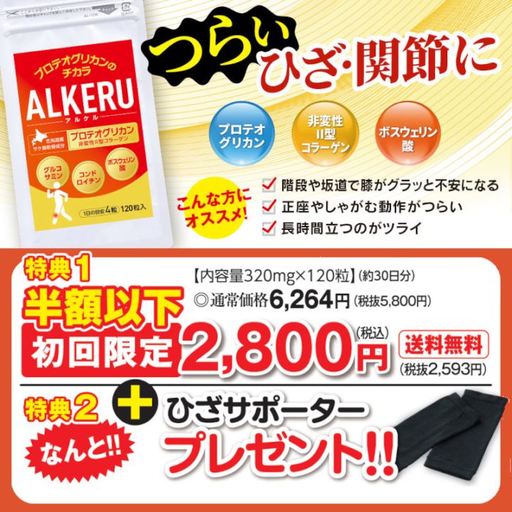 �������2,800��+����̵����ALKERU - ���륱�� - + �Ҥ����ݡ������ץ쥼��ȡ������1�� ����ء�