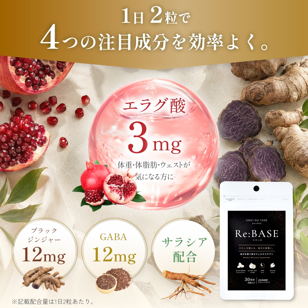 Re:BASE ��١��� (���饰�����֥�å����󥸥㡼�����饷����GABA)
