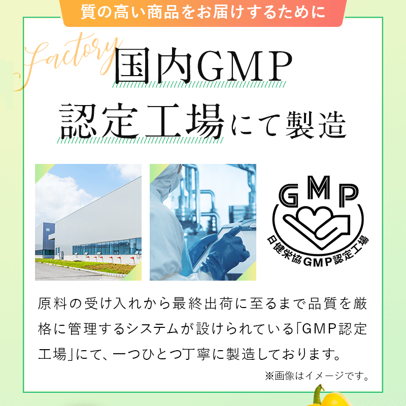 ��ǯ��������ʪȯ��100