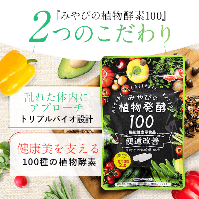 ��ǯ��������ʪȯ��100