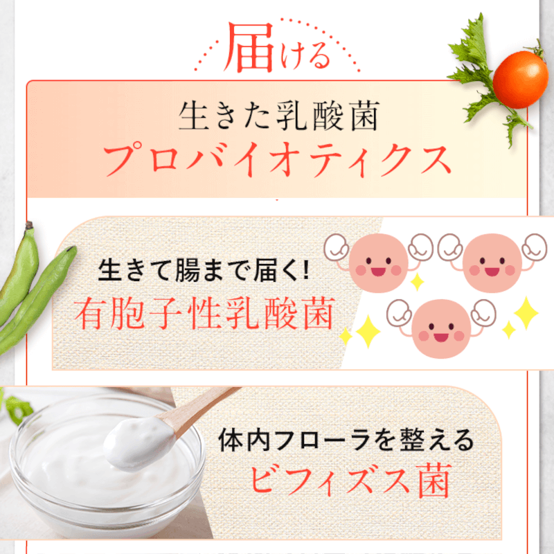 ��ǯ��������ʪȯ��100