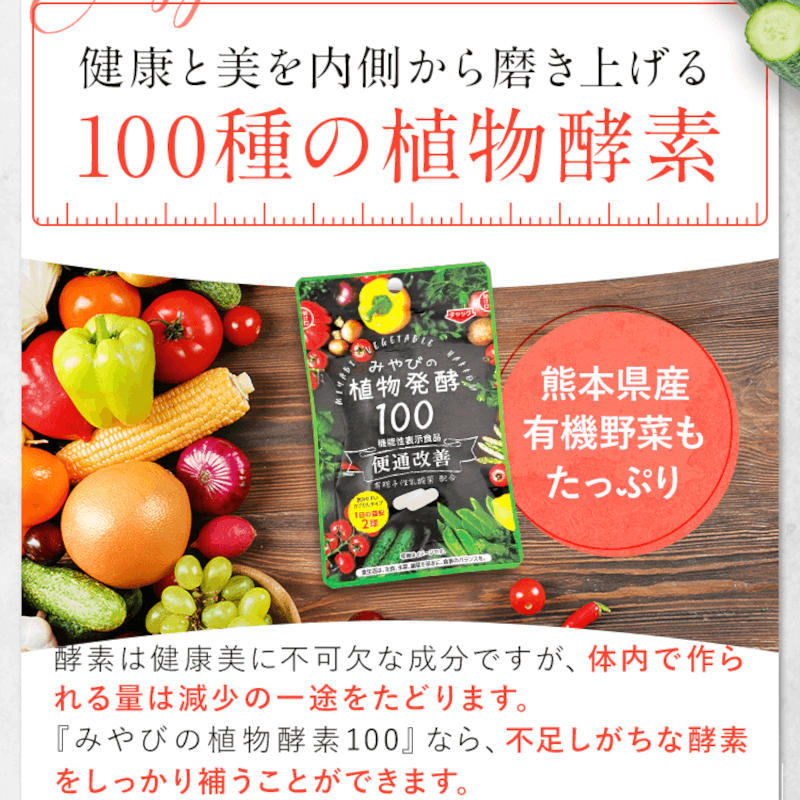 ��ǯ��������ʪȯ��100