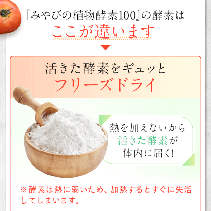 ��ǯ��������ʪȯ��100