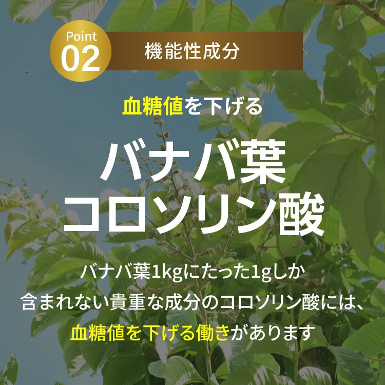 �찵�߷��� W����