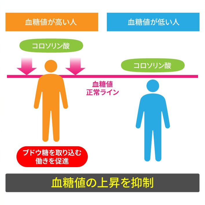 �찵�߷��� W����