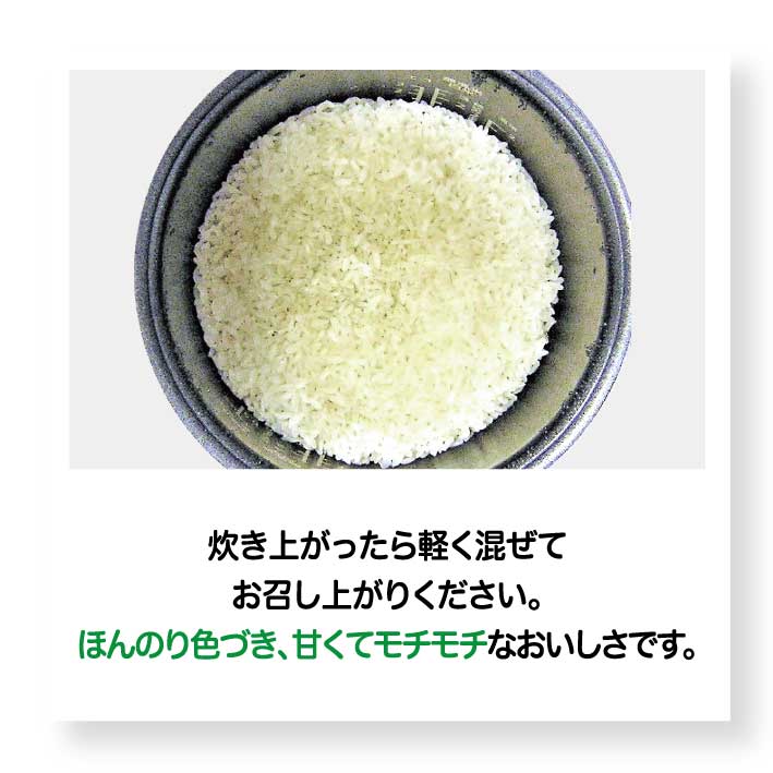 ���ƤǤ䤵��