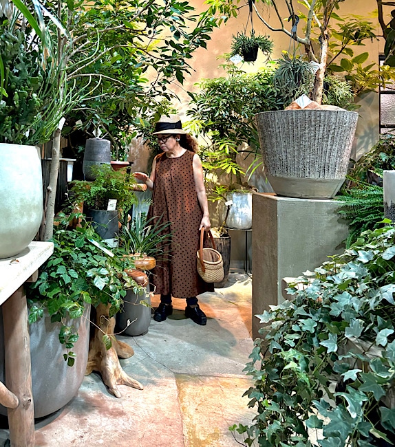 ��̥Ρ����꡼�֥��ԡ���