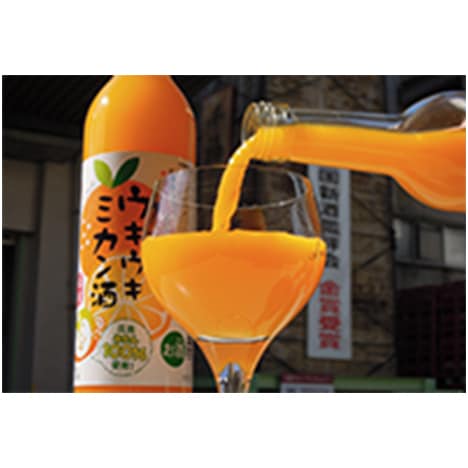 ����ߤ���Τ��� ����������