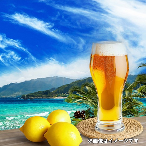 ������ӥ��ƥ����� ���� 350ml �� 24�ܡʣ��������ˡʥΥ󥢥륳�����