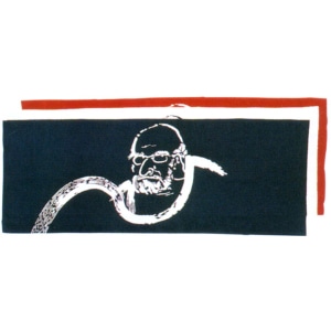 �̼꿡�������